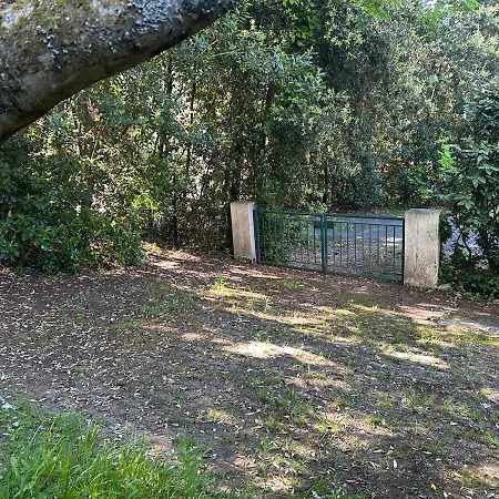 Pereire A Pied Arcachon