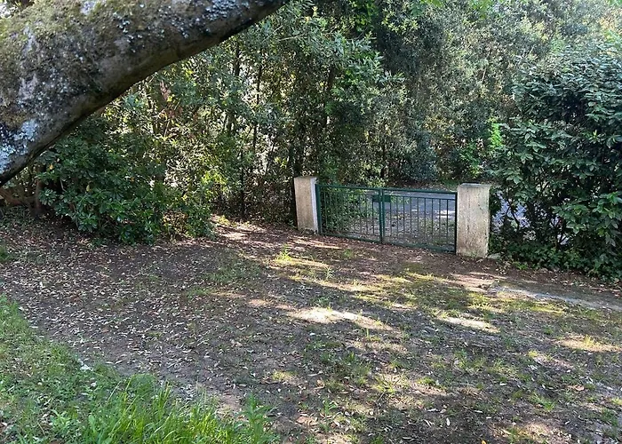 Pereire A Pied Arcachon